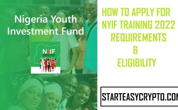 Nigeria Youth Investment Fund