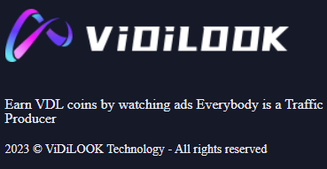 VidiLook Review