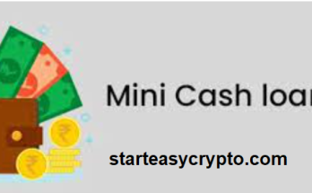 Mini Cash Loan Online
