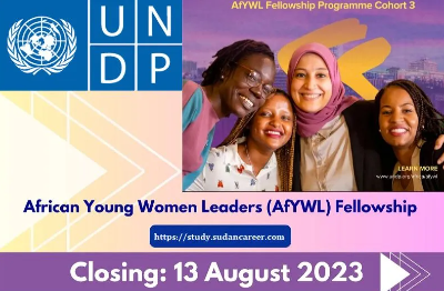 African Young Women Leaders Fellowship